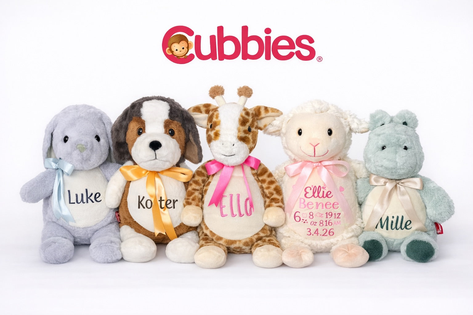 Personalized Embroidered Plush Cubbies